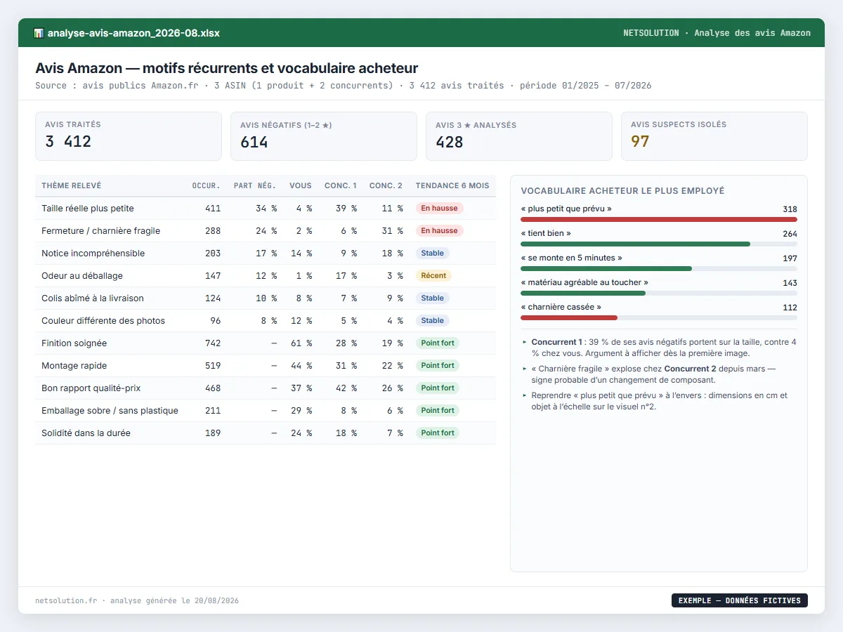 Exemple de livrable NETSOLUTION : analyse des avis Amazon, tableau d’analyse en données fictives