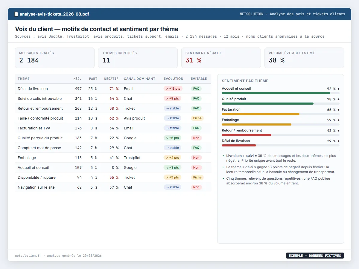 Exemple de livrable NETSOLUTION : analyse des avis clients et tickets support, tableau d’analyse en données fictives