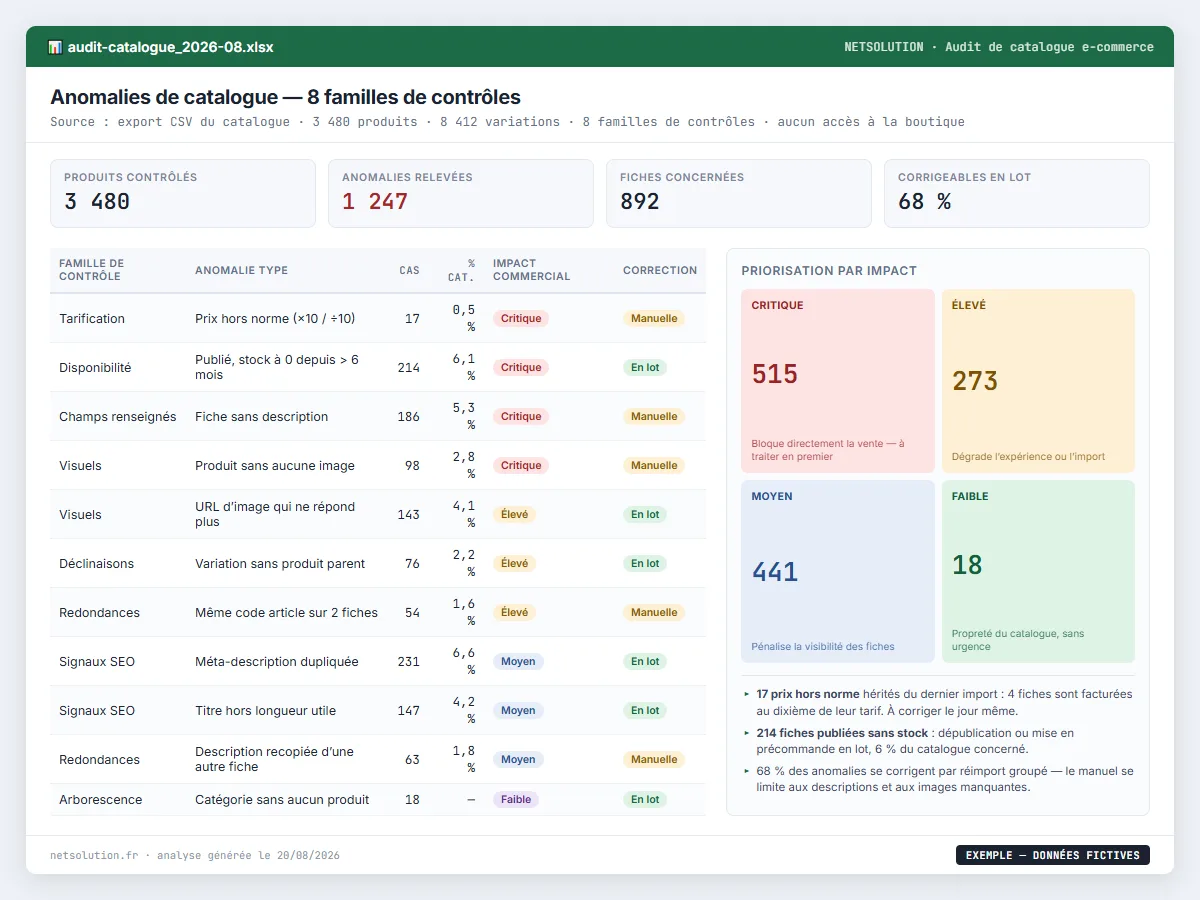 Exemple de livrable NETSOLUTION : audit de catalogue e-commerce, tableau d’analyse en données fictives
