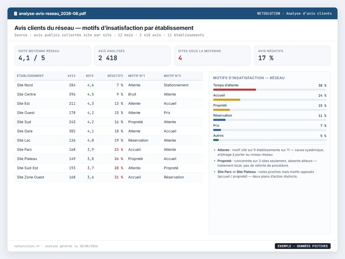 Exemple de livrable NETSOLUTION : analyse d’avis multi-établissements, tableau d’analyse en données fictives