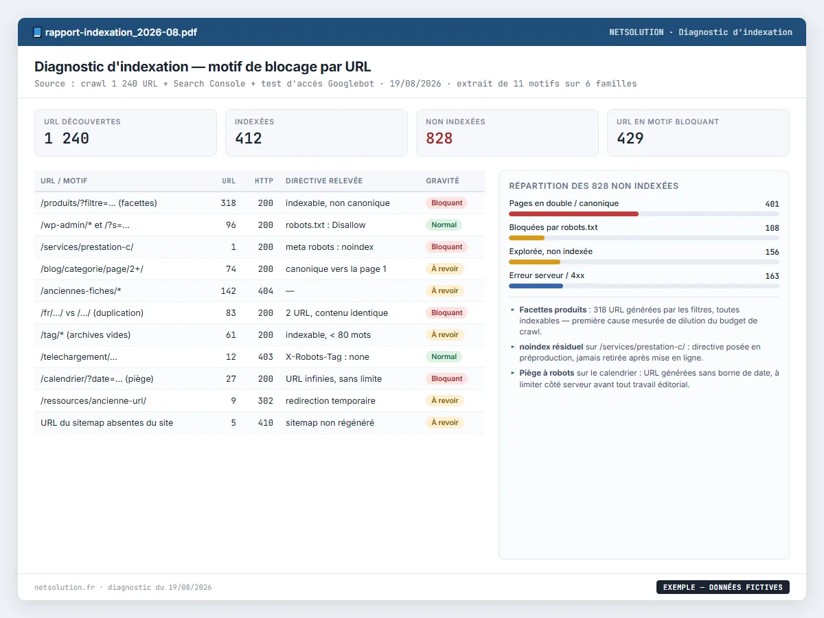 Exemple de livrable NETSOLUTION : diagnostic d'indexation Google, tableau d’analyse en données fictives