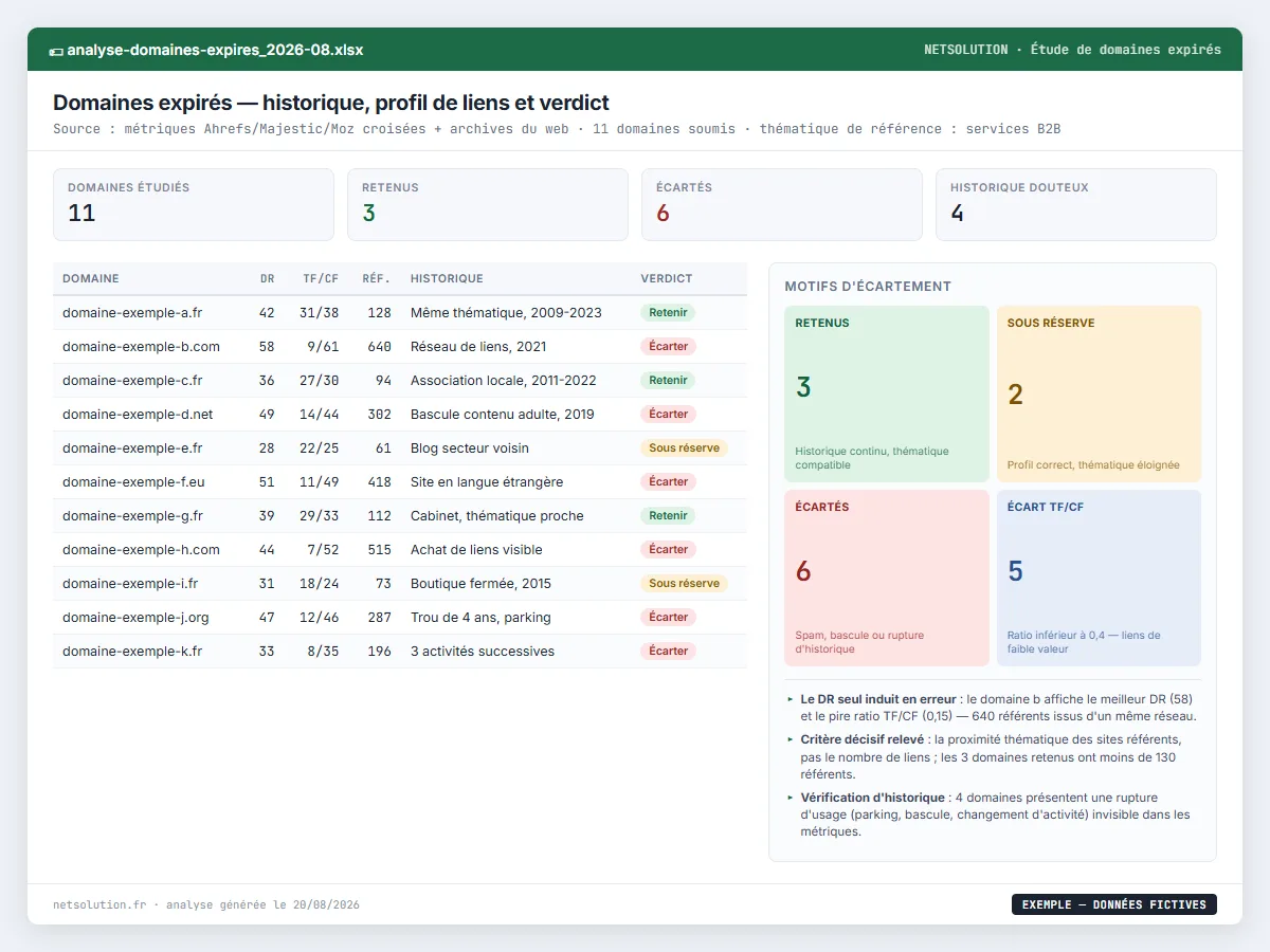 Exemple de livrable NETSOLUTION : analyse de domaines expirés, tableau d’analyse en données fictives
