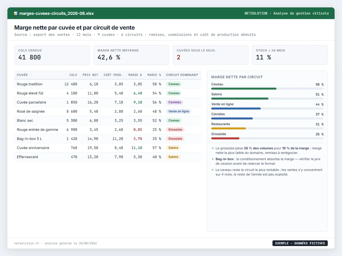 Exemple de livrable NETSOLUTION : analyse de gestion domaine viticole, tableau d’analyse en données fictives