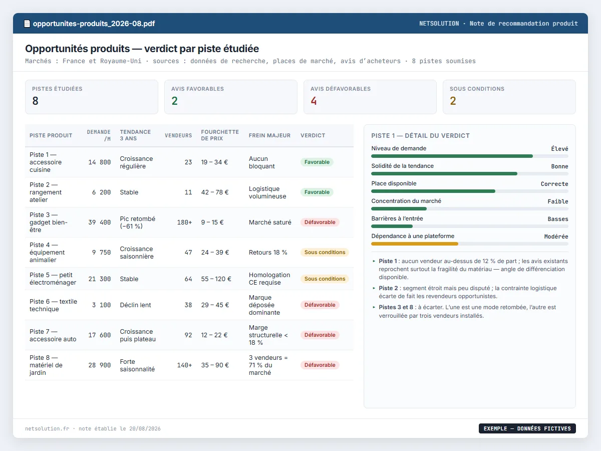 Exemple de livrable NETSOLUTION : étude d'opportunité produit e-commerce avant lancement, tableau d’analyse en données fictives